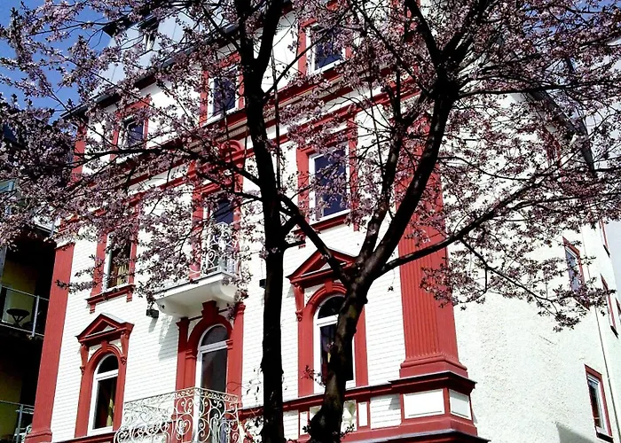 酒店 特劳伯酒店 3*