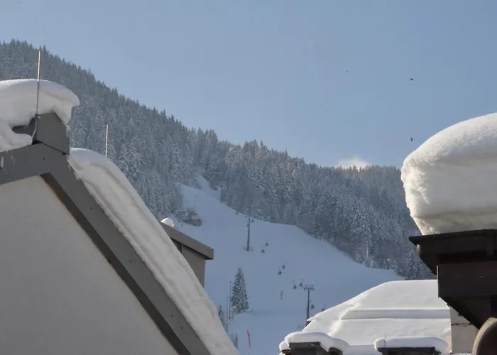 特劳伯酒店 滨湖采尔